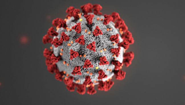 Coronavirus.jpg